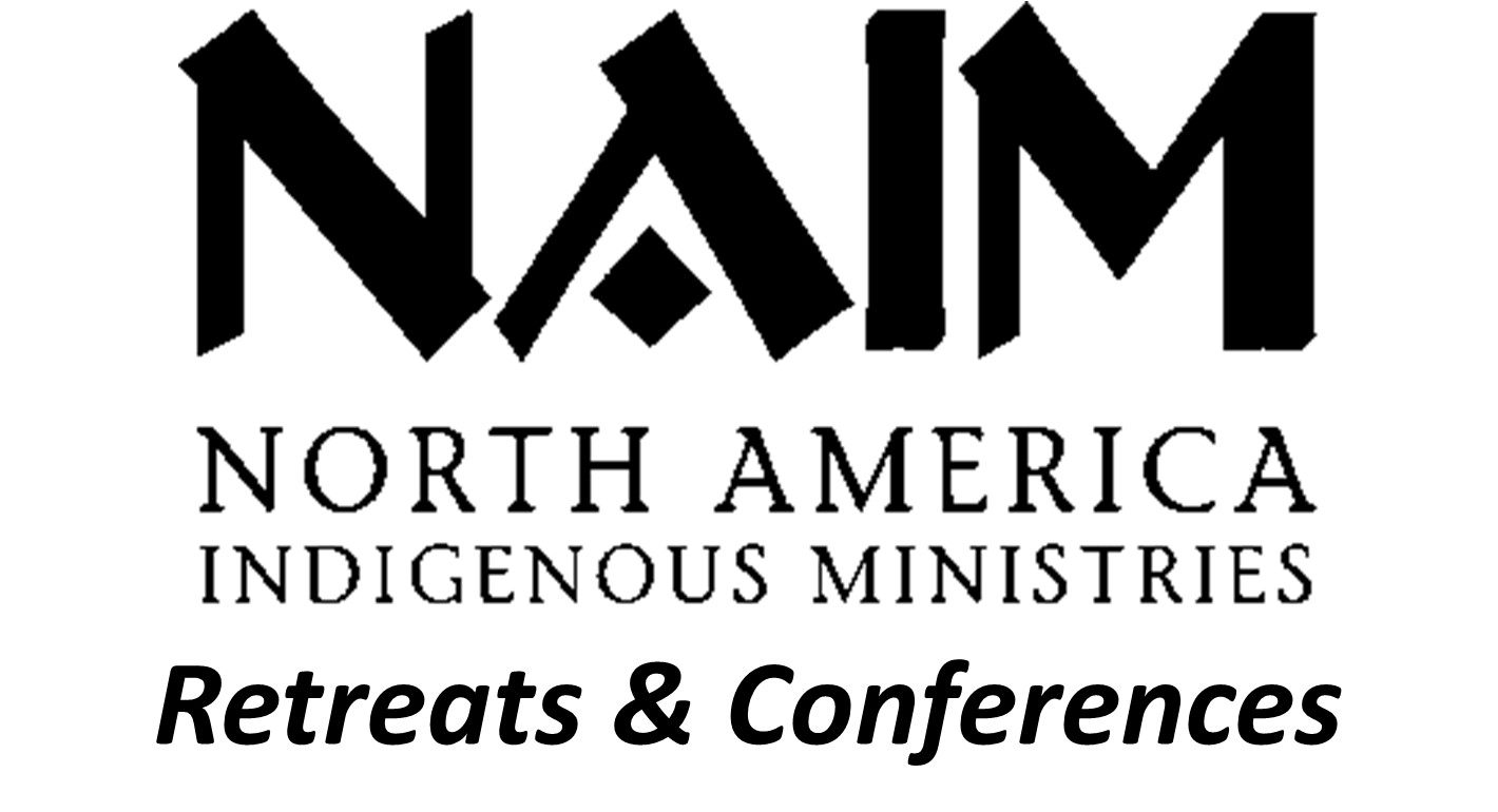 NAIM logo